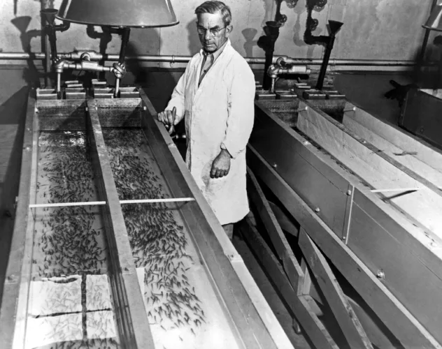 Radiation testing